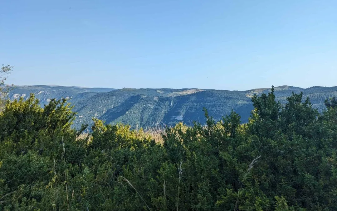 Retraites Yoga nature 4 Retraite de Yoga Juillet, nature et sonothérapie