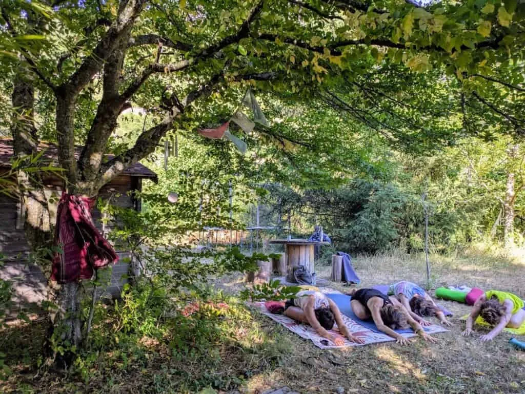 sous le saule